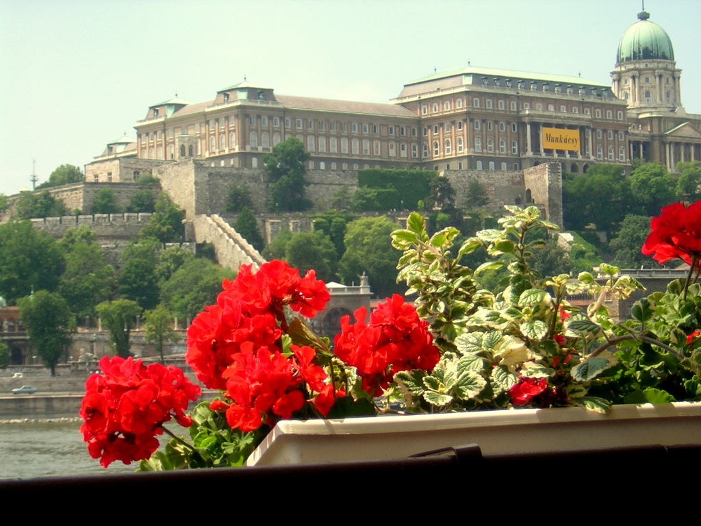 Palazzo Reale - Royal Palace